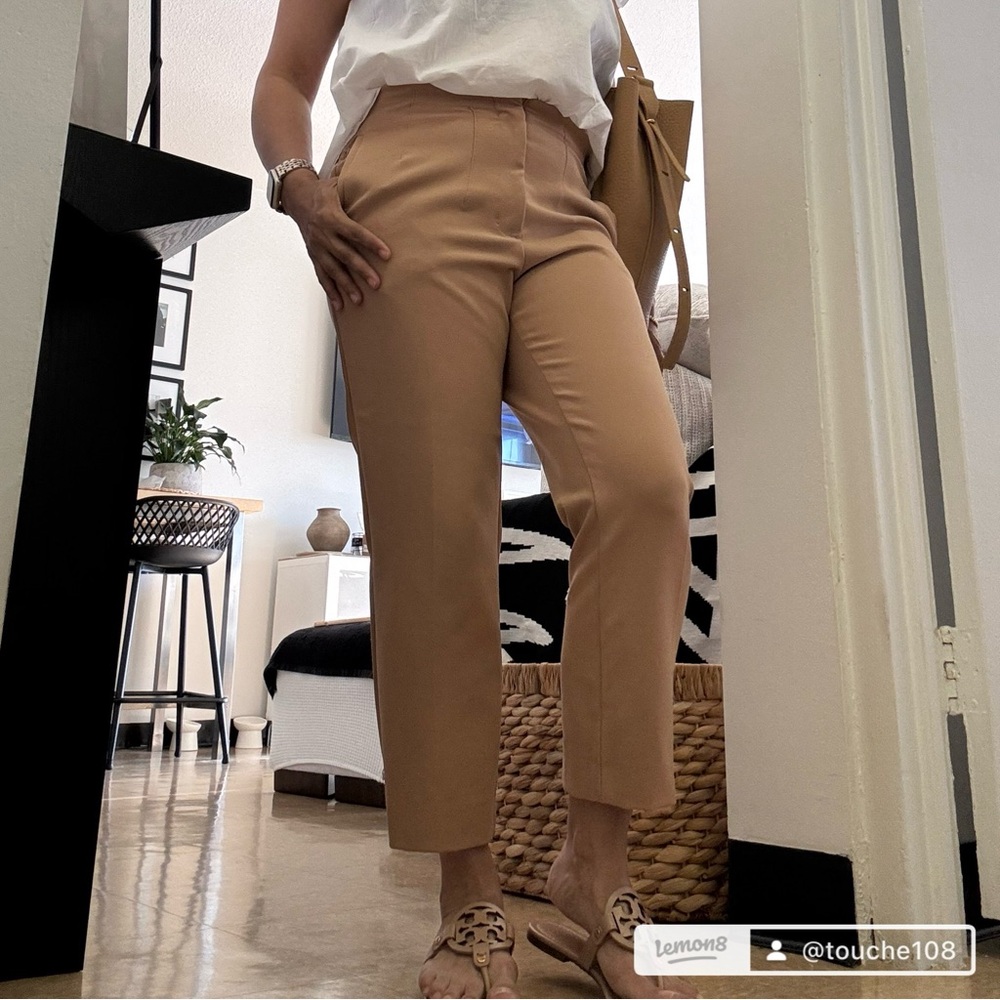 Zara Tan Dress Pants